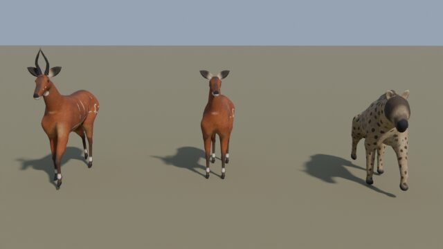 Animals