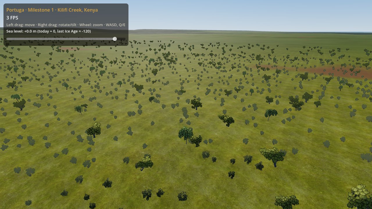 Coastal bush