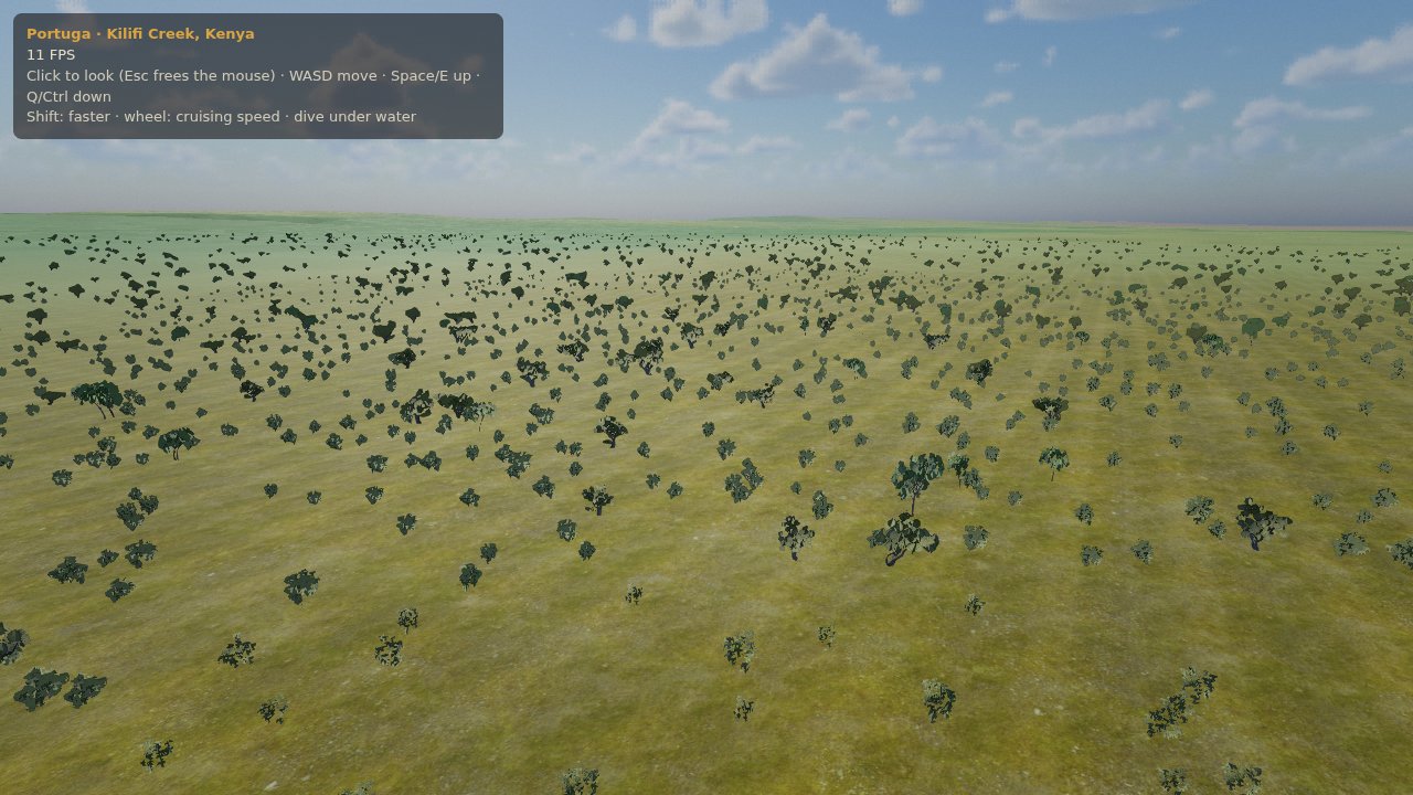Bush