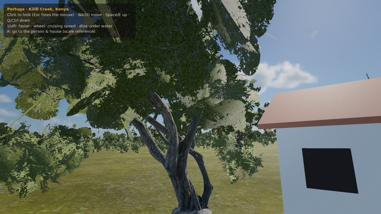 Under a tree