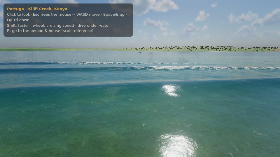Waves breaking on the reef