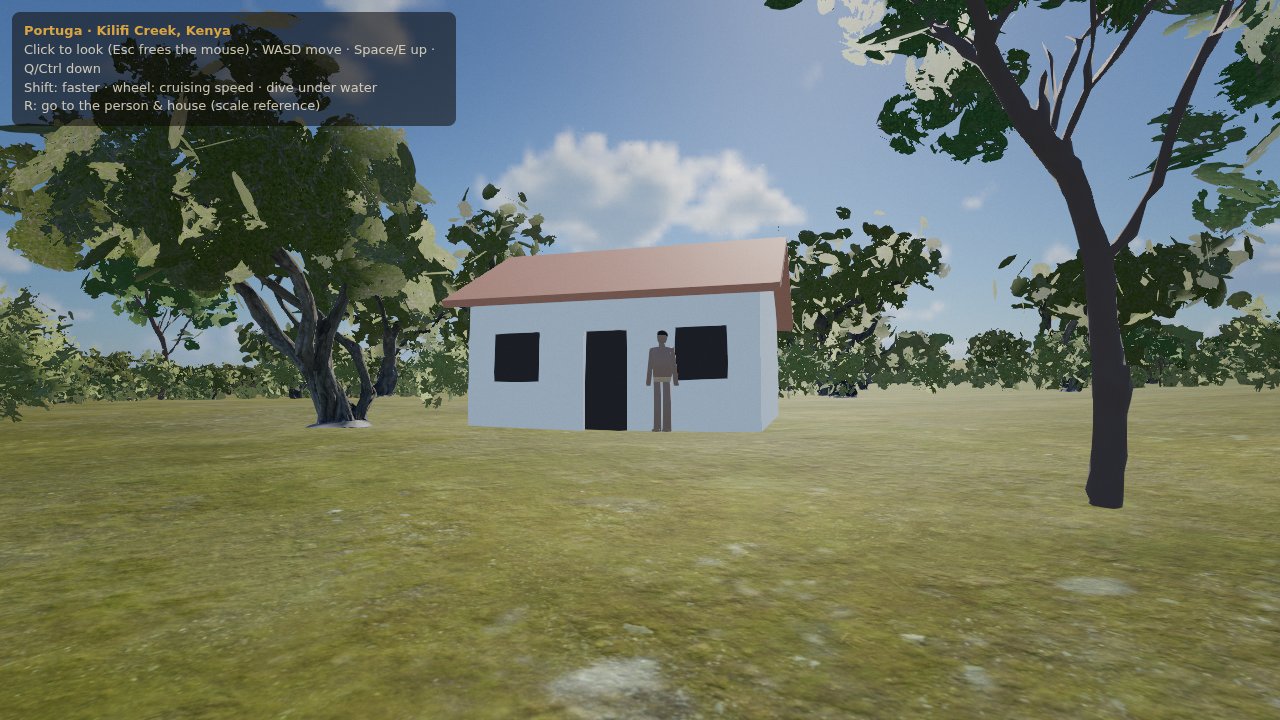 Trees and house