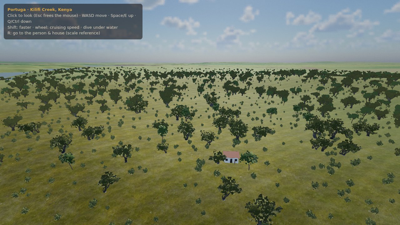 Woodland from above
